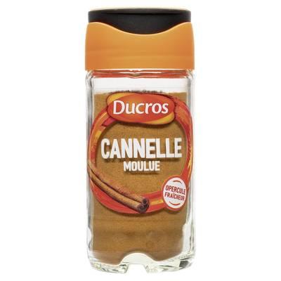 3166290200197 - Ducros - Cannelle moulue