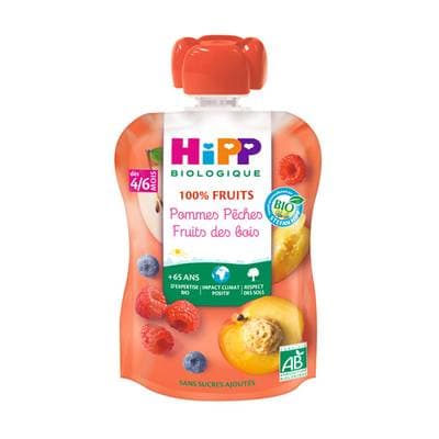 4062300250697 - Hipp - 100% Fruits - Pommes Pêches Fruits des Bois Bio Gourde Bébé Dès 4/6 mois
