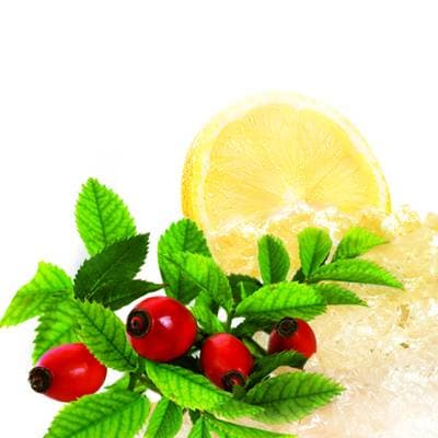 7613035420199 - Special T By Nestle - Infusion lemon sorbet bio