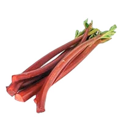 2050000338496 -  - Rhubarbe