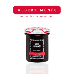 logo Albert Ménès