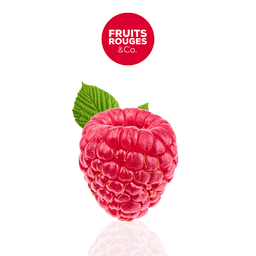 logo Fruits Rouges & Co