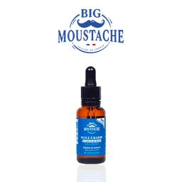 logo Big Moustache®