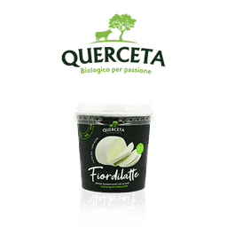logo Querceta