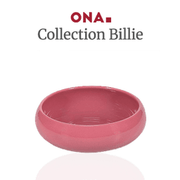 logo Collection Billie