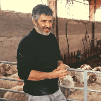 Les Petites Laiteries