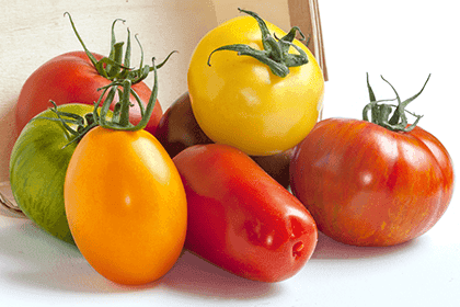 La star de l'été : la tomate