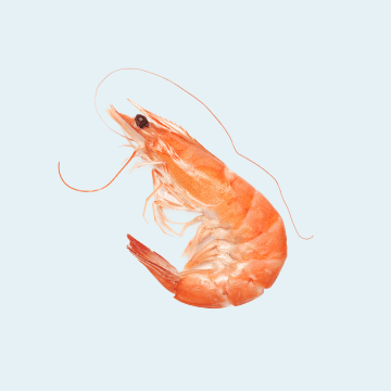 Crustacés et fruits de mer
