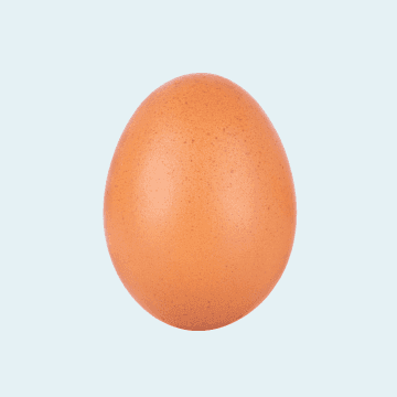 Oeufs