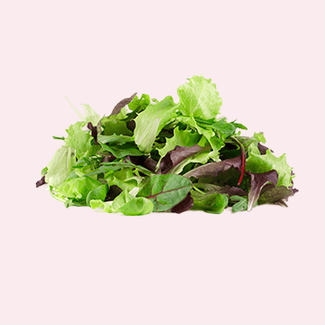 Crudités et salades en sachet