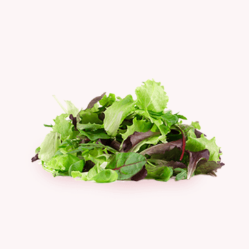 Salade et crudité