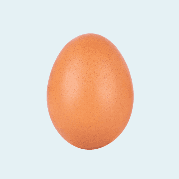 Produits Laitiers, Oeufs