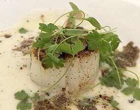 Saint-jacques poêlée sauce à la truffe