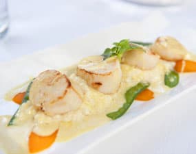 Noix de saint-jacques à la plancha, risotto à l'huile de truffe et wok de légumes du sud