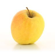 Maison Vassout Fruits  Pomme Golden rosée