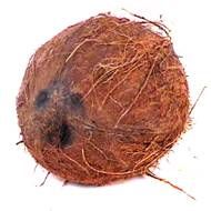 Noix de coco, 1 pièce