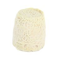 Les Petites Laiteries Chabichou du Poitou AOP - Lait de chèvre cru, 150g