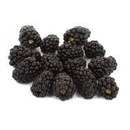 Fruits Rouges & Co Mûre, Barquette de 125g