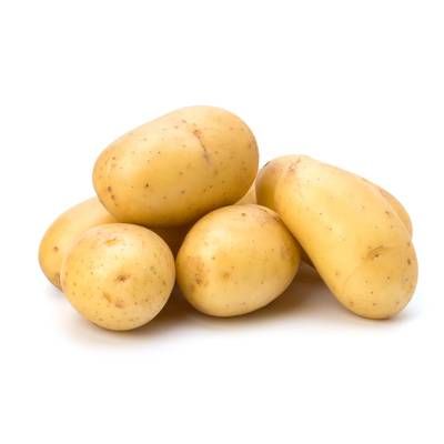 Pomme de Terre Agria