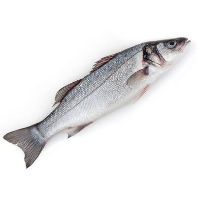 Transgourmet Seafood Bar entier, 300g