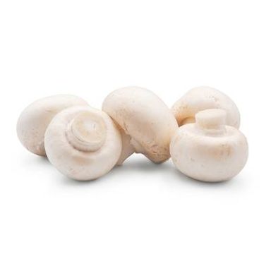 Les Paysans Bio Champignon Blanc Bio, Barquette de 200g