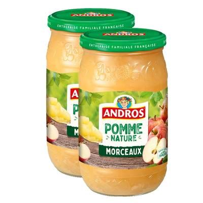 Andros Compote de Pomme avec morceaux, Lot de 2x740g