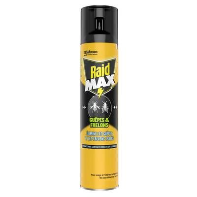 Raid Spray anti-guêpes Action Foudroyante et Frelons, 300ml