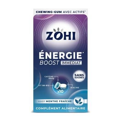 Zohi Chewing gum Complément Alimentaire Energie Menthe Fraîche, 20g