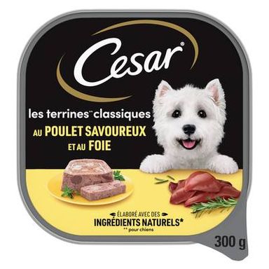 César Barquette Terrine Classique Poulet et Foie pour chien adulte, 300g