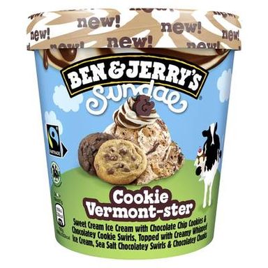 Ben&Jerry's Crème glacée Sundae cookie Vermont Ster, 324g