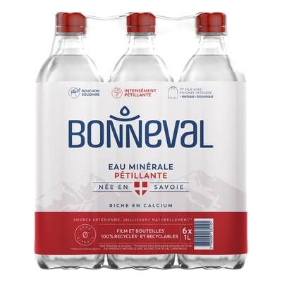 Bonneval Eau minérale naturelle gazeuse, 6x1L