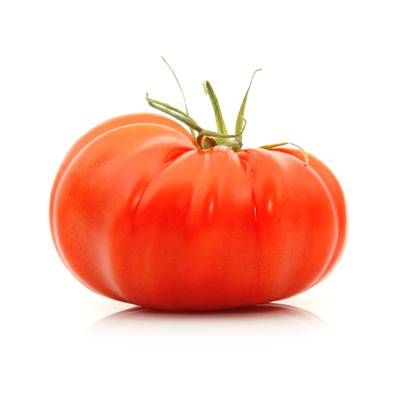 Tomate Marmande