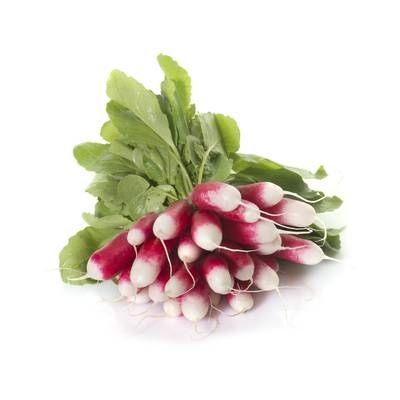 Radis Rose, 1 Botte, Environ 300g