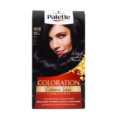 Palette Coloration Permanente Noir Bleuté 909, 115ml