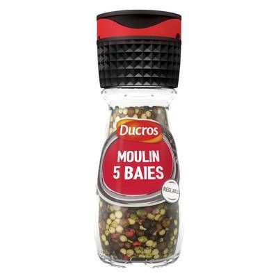 Ducros Moulin 5 baies n°5 Doux, 26g