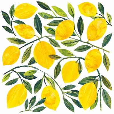 Paperproducts Design Serviette papier Tracey´s Citronella, 20 serviettes de 33 x 33 cm