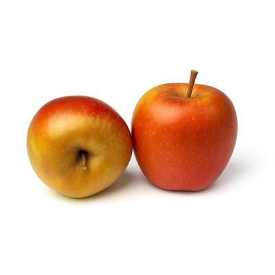 Maison Vassout Fruits  Pomme Boskoop