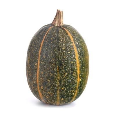 Courge Spaghetti Verte, 1 Pièce