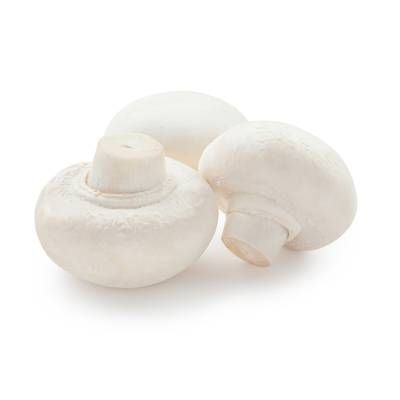 Champignon Blanc Bio, Barquette de 250g