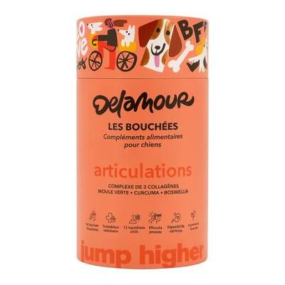 Delamour Compléments alimentaires 90 Bouchées Articulation - pour chien, 270g