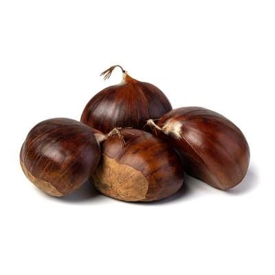 Chataigne, Filet de 1 kilo