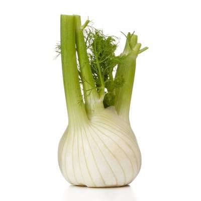 Fenouil, 1 Pièce