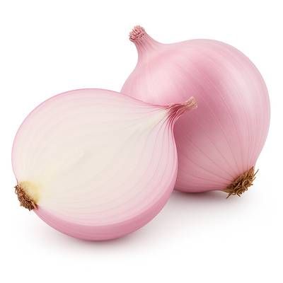 Oignon Rosé de Roscoff, Filet de 1kg