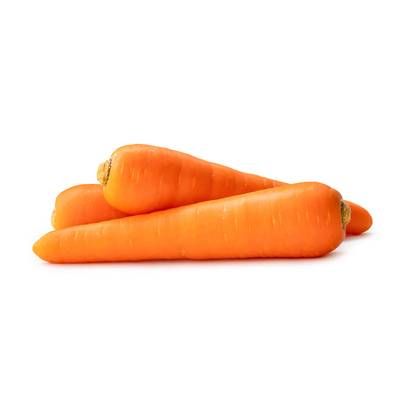 Carotte