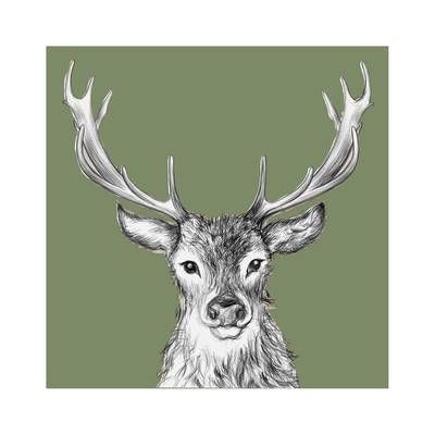 Paperproducts Design Serviettes en papier Paul green, 20 serviettes de 33 x 33 cm