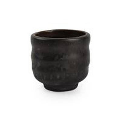 SP Collection Bol/chope Oishi, 5xH5 cm