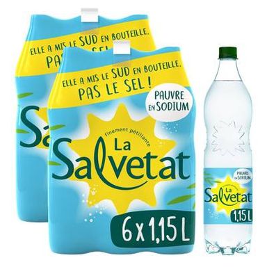 Salvetat Eau gazeuse minérale naturelle, Lot de 2 - 6x1,15L