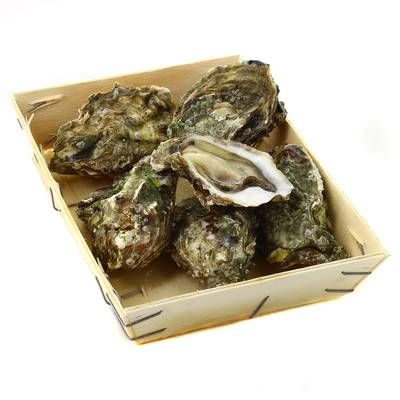 Lamaison Huître n° 3 Fine de Claire Marennes Oléron IGP, Bourriche de 6 pièces