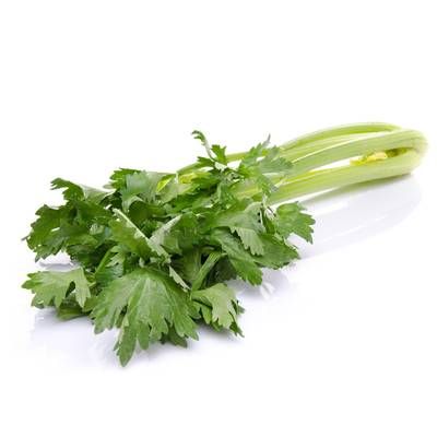Céleri Branche, 1 Botte, Environ 700g