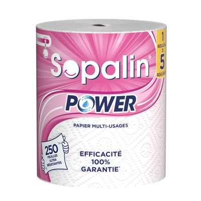 Sopalin Essuie tout Power 1= 5, 1 rouleau